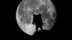 Moon Pedobear