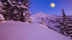 Moon winter moonlight snow