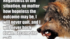 More loving these get bumping try