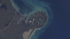 More of christchurch high