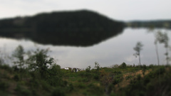 More some post Made therefore img