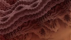 More This high slice