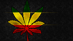 More widescreen weed need ddesign deyurus