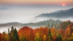 Morning Slovenia mist forests