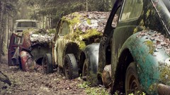 Moss old cars vintage rusted volkswagen beetle vintage cars