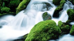 Moss Oregon waterfalls rocks Mount Jefferson