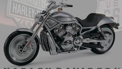 Motorcycles Harley-Davidson vehicles motorbikes vrod