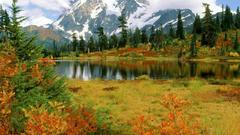 Mount shuksan nature