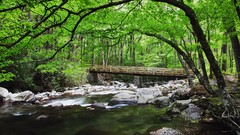 Mountains Bridges national park Tennessee