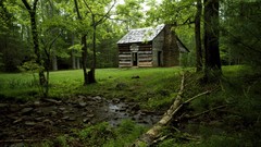 Mountains cabin national park Tennessee cove