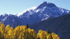 Mountains Colorado forests sultan National