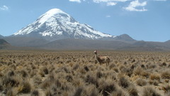 Mountains desert snow peak