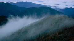 Mountains fog national geographic