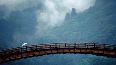 Mountains forests Bridges Umbrellas