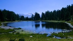 Mountains forests switzerland lakes