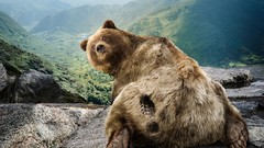 Mountains funny Bears