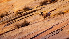 Mountains Galaxy Nexus