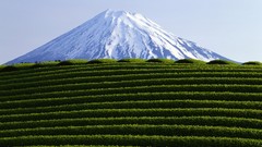Mountains Garden Rice Terraces