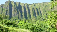 Mountains hills forest high