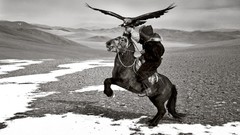 Mountains Horses mongolia hawks grayscale Hamid Sardar