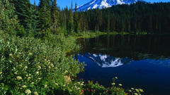 Mountains lakes reflections pine