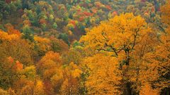 Mountains landscape autumn fall hill colorful rolling 