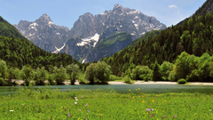 Mountains Landscapes forests meadows