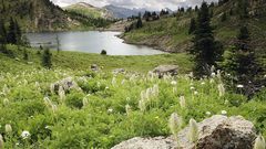 Mountains Landscapes meadows