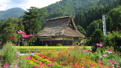 Mountains Landscapes nature forests