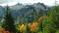 Mountains Landscapes nature forests