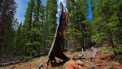 Mountains Landscapes nature forests