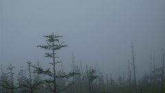 Mountains Landscapes nature Tennessee