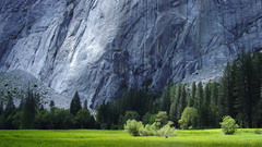 Mountains Landscapes nature Trees