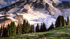 Mountains Landscapes nature Trees