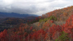 Mountains Landscapes nature Trees