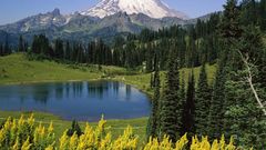 Mountains Landscapes Trees lakes