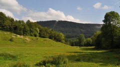 Mountains Landscapes Trees plains