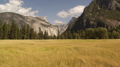 Mountains nature forests