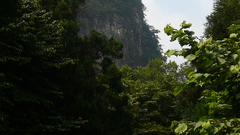 Mountains nature Trees