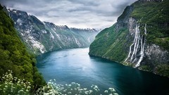 Mountains Norway rivers Wildflowers fjord Norwegian
