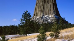 Mountains Trees devil's tower