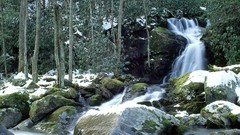 Mouse creek falls in