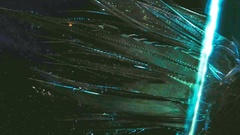 Movie some weird thing