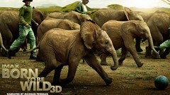 Movies Animals Born to