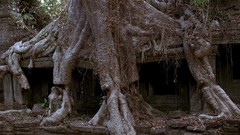 Movies baraka documentary