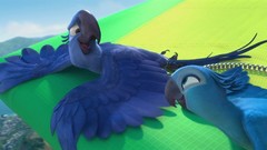 Movies Birds macaw flying Rio 3d 20th century fox animated