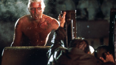 Movies Blade Runner rutger