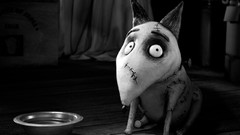 Movies Burton frankenweenie