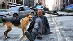 Movies Dogs Actors I Am Legend Will Smith