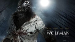 Movies film The Wolfman movie posters